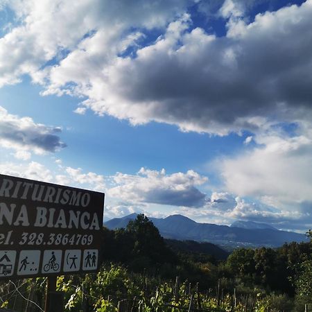 Agriturismo Donna Bianca Mormanno Exteriér fotografie
