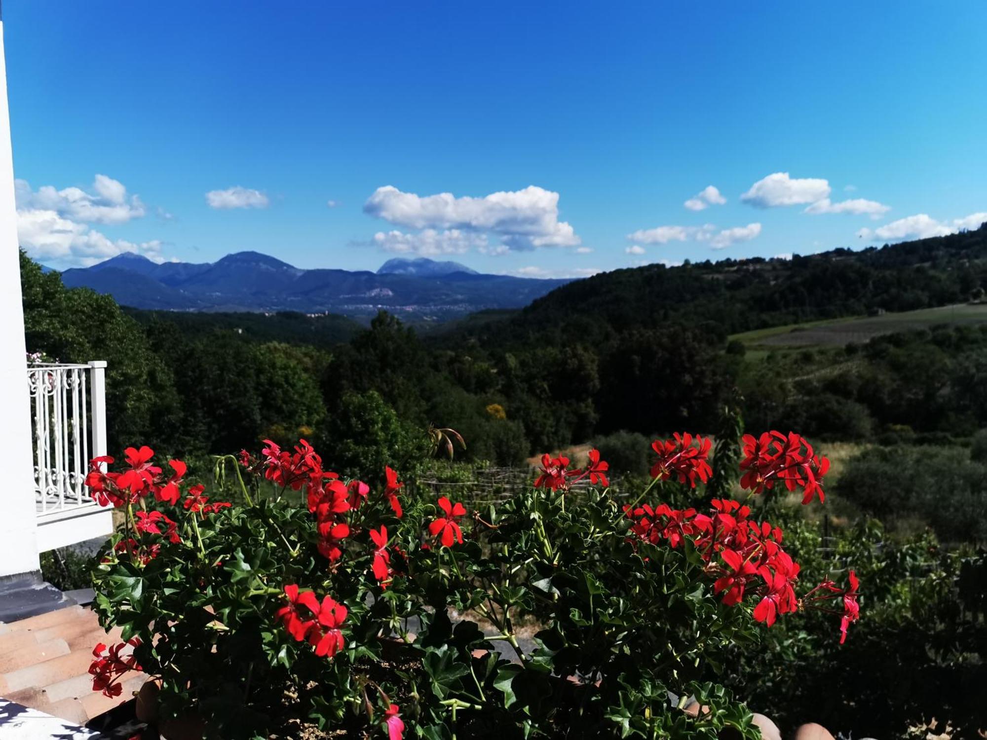 Agriturismo Donna Bianca Mormanno Exteriér fotografie