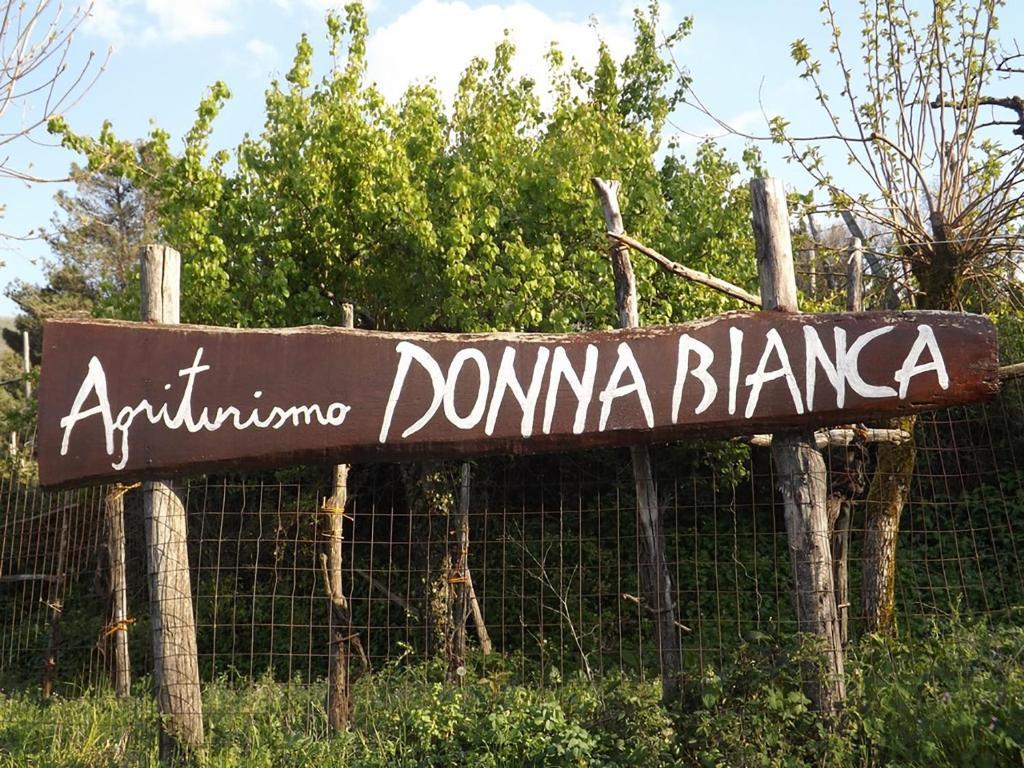Agriturismo Donna Bianca Mormanno Exteriér fotografie
