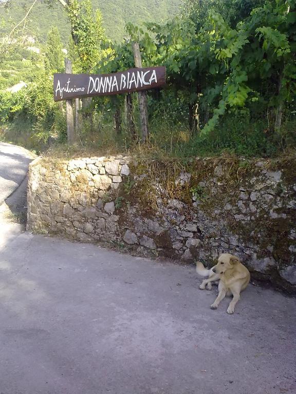 Agriturismo Donna Bianca Mormanno Exteriér fotografie